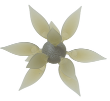 Load image into Gallery viewer, Coike Fish Gill