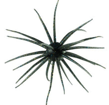 Load image into Gallery viewer, Coike 17mm