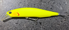 Load image into Gallery viewer, Jerkbait 100SP