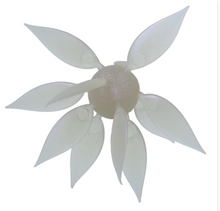 Load image into Gallery viewer, Coike Fish Gill