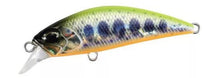 Load image into Gallery viewer, Spearhead Ryuki 50S