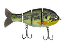 Load image into Gallery viewer, Baby Bull Gill