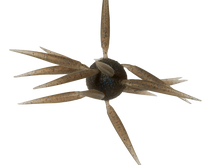 Load image into Gallery viewer, Coike Fish Elastomer L