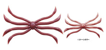 Load image into Gallery viewer, Octopus