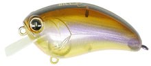 Load image into Gallery viewer, Bill Lowen Square Bill Crankbait