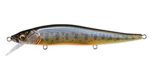 Load image into Gallery viewer, Ito Vision 110 Great Hunting