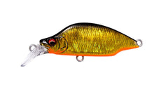 Load image into Gallery viewer, Great Hunting Bat A Fry