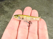 Load image into Gallery viewer, BFS Micro Glide Minnow