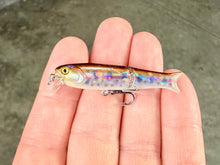 Load image into Gallery viewer, BFS Micro Glide Crank Minnow