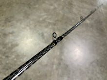 Load image into Gallery viewer, Explorer Glide Bait Rod