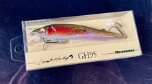 Load image into Gallery viewer, Ito Vision 95 Great Hunting