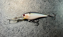Load image into Gallery viewer, Slim Shad D-9