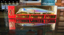 Load image into Gallery viewer, Slender Pointer
