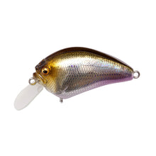 Load image into Gallery viewer, IxI Blowly