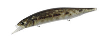 Load image into Gallery viewer, Jerkbait 120SP