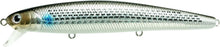 Load image into Gallery viewer, Flash Minnow 110SP