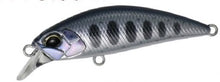 Load image into Gallery viewer, Spearhead Ryuki 45S