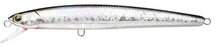 Load image into Gallery viewer, Flash Minnow 190SR