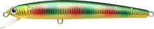Load image into Gallery viewer, Flash Minnow 190SR
