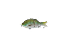 Load image into Gallery viewer, Micro BFS Glide Gill