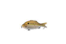 Load image into Gallery viewer, Micro BFS Glide Gill