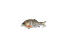 Load image into Gallery viewer, Micro BFS Glide Gill