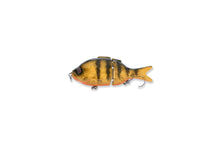 Load image into Gallery viewer, Micro BFS Glide Gill
