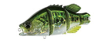 Load image into Gallery viewer, Snappy Crappie