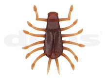 Load image into Gallery viewer, Wigglebug
