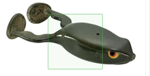 Load image into Gallery viewer, Flappin Frog