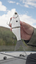 Load image into Gallery viewer, KGB Chad Shad 180
