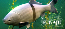 Load image into Gallery viewer, Funaju