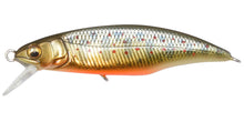 Load image into Gallery viewer, Great Hunting 50 Flatside