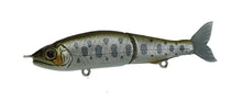Load image into Gallery viewer, Jointed Claw 70