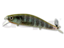 Load image into Gallery viewer, Spiral Minnow