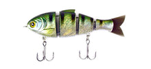 Load image into Gallery viewer, Mike Bucca Baby Bull Shad