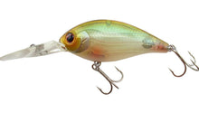 Load image into Gallery viewer, CR-8 Crankbaits