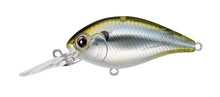 Load image into Gallery viewer, CR-13 Crankbaits