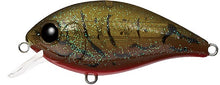 Load image into Gallery viewer, CR-4 Crankbaits