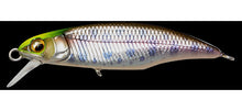 Load image into Gallery viewer, Great Hunting 50 Flatside