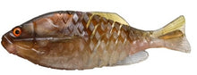 Load image into Gallery viewer, Gill Flat Jr