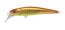 Load image into Gallery viewer, Halibut 90