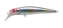 Load image into Gallery viewer, Halibut 90