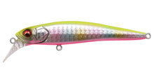 Load image into Gallery viewer, Halibut 90