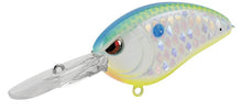 Load image into Gallery viewer, Little John Micro DD45