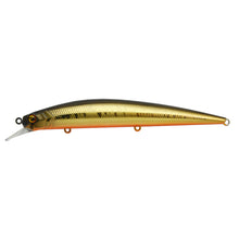 Load image into Gallery viewer, Level Minnow