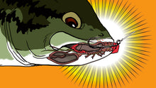 Load image into Gallery viewer, Sleeper Craw