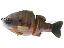 Load image into Gallery viewer, Bull Shooter 160 Floating