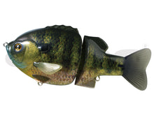 Load image into Gallery viewer, Bull Shooter 160 Floating