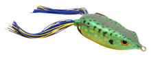 Load image into Gallery viewer, Bronzeye Frog